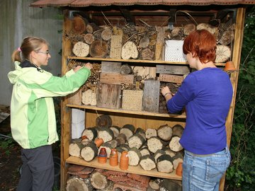 Schülerin und Tutorin stehen vor einem Insektenhotel im Ökologischen Lehr-Lern-Garten