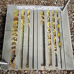 Insektennisthilfe offen