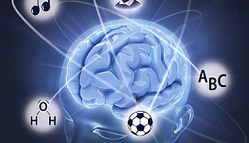 Cover Trends in Neuroscience and Education 40 Ein Schädel mit sichbarem Gehirn von oben, Symbole für Themen wie Musik, Sport, Lesen drumherum, durch verbildlichte Gehirnströme mit diesem verbunden