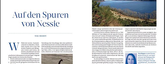 Vorschau auf Artikel