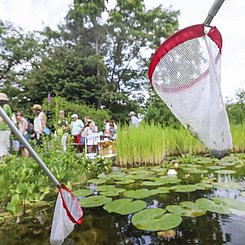 Foto: Andrea Fabry/PHKA